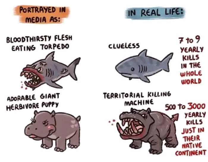 Separate the flesh from the bones of my fish meaning made simple: Get the real sense of this phrase.
