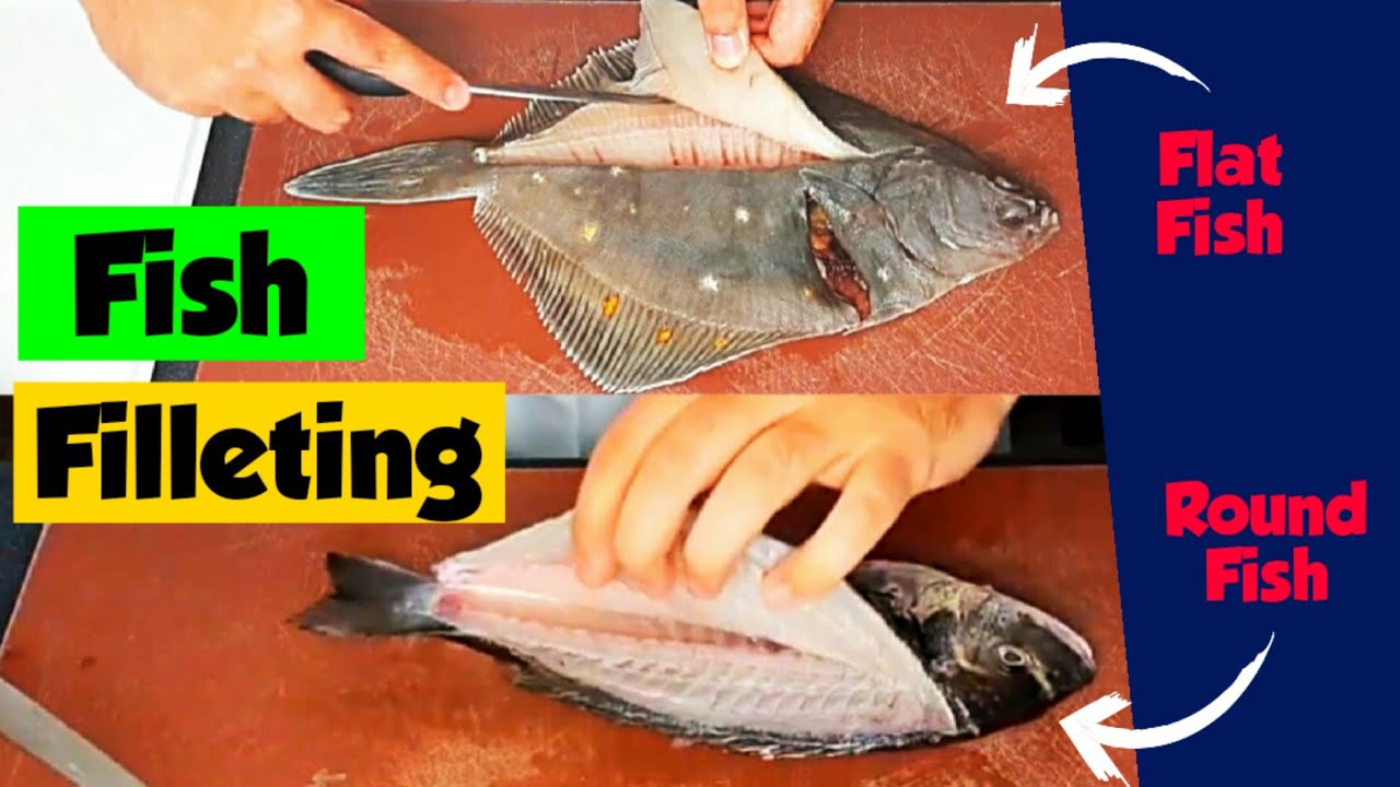 Need help with how to separate white fish from their bones neatly? Our guide shows you the cleanest way to do it.
