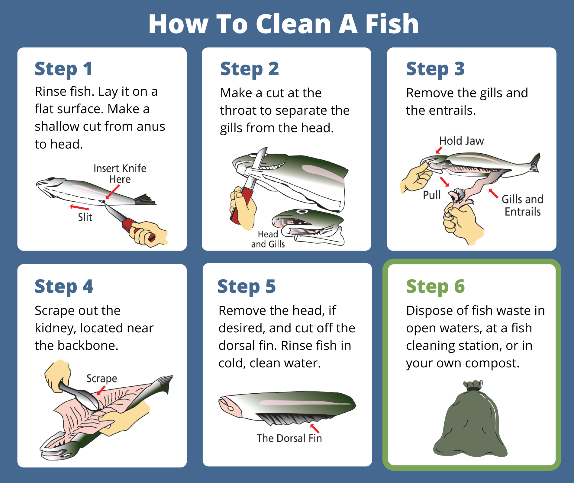 Need help with how to separate white fish from their bones neatly? Our guide shows you the cleanest way to do it.