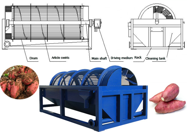 Sweet potato washing machine efficient cleaning methods revealed here
