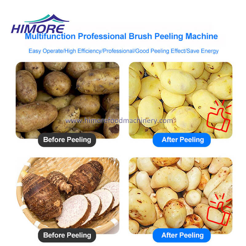 How 1000 Potato Cleaner Machine Works Easy Steps for Beginners
