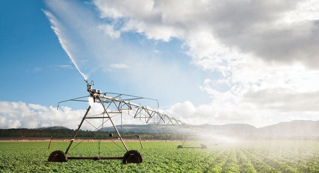 Potatoes cleaning machine benefits why it saves time and water for farmers