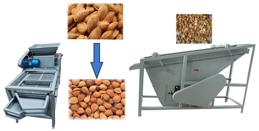 Need a Heavy Duty Almond Crushing Machine? Business Models Revealed!